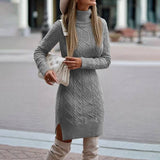 Cookies Turtleneck Knitted Dress