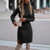 Cookies Turtleneck Knitted Dress