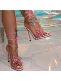 https://imgs3.wholesale7.net/jxc/images/202501/03/goods_img/_P_20250103170803616_758.jpeg