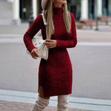 Cookies Turtleneck Knitted Dress